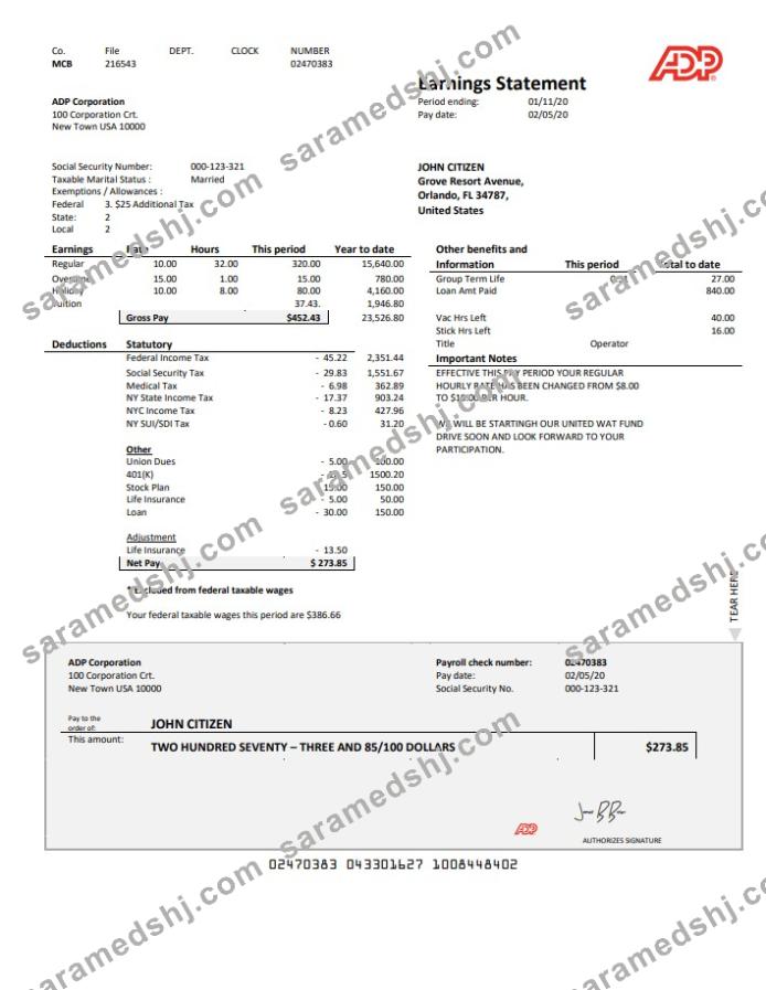 USA ADP Earnings statement template in Word and PDF format